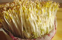 春季養(yǎng)生之道推薦 做好十點讓疾病遠離你