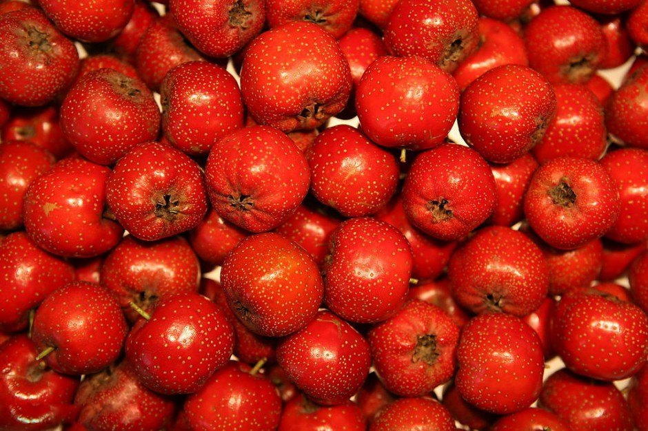 化療期間吃什么 營養(yǎng)膳食很關(guān)鍵