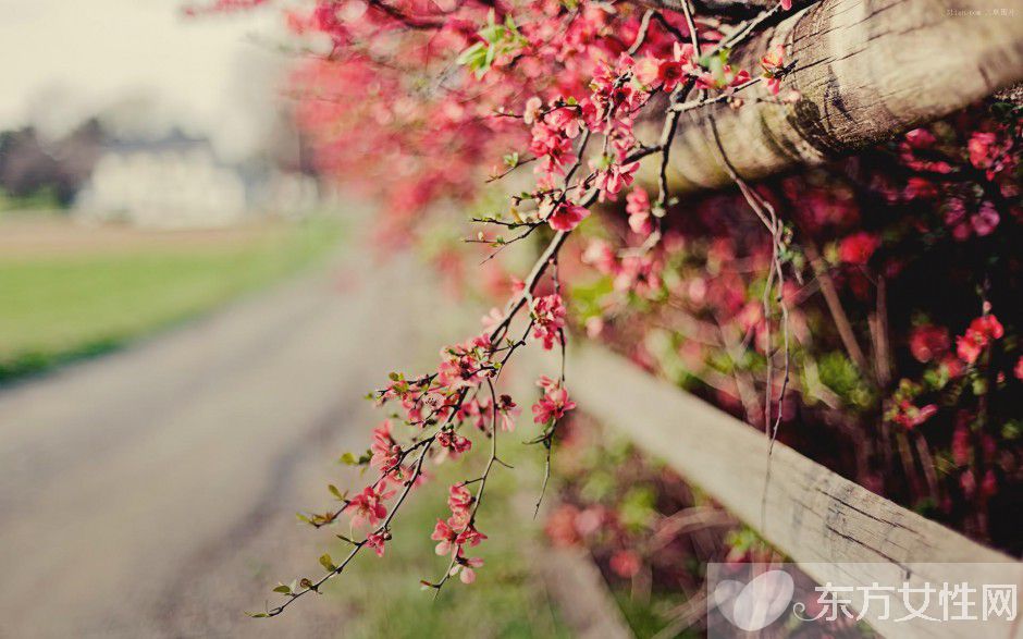 春天養(yǎng)生之道推薦 做好這三點身體棒棒噠