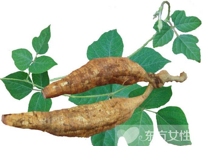 自制中藥護(hù)膚品推薦 美麗可以不需要花大價(jià)錢(qián)