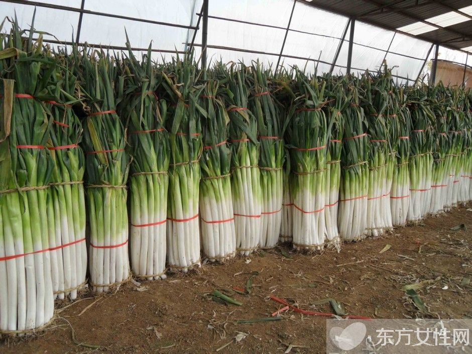 大蔥的功效與作用 這些食物放在一起吃就遭啦