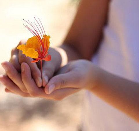 如何把單身生活過(guò)得充實(shí)有質(zhì)量感