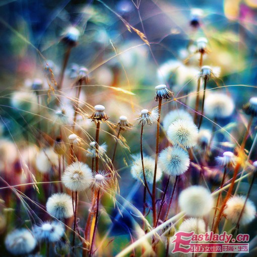 娶了個(gè)女企業(yè)家 我失去了尊嚴(yán)