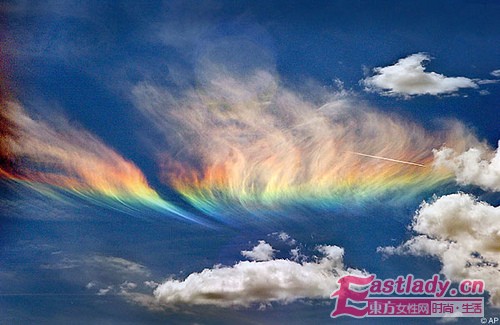 娶了個女企業(yè)家 我失去了尊嚴