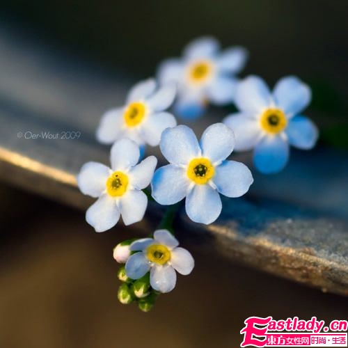 女人出軌后要怎樣亡羊補(bǔ)牢