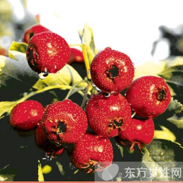 自制山楂糕的做法步驟 細數(shù)山楂的六大作用