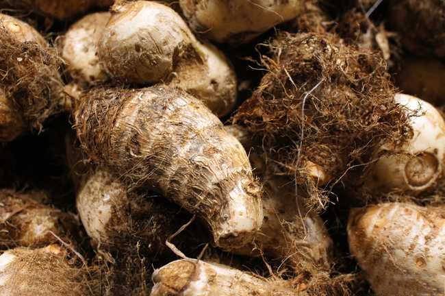 毛芋頭的功效與作用 及好吃的做法大全