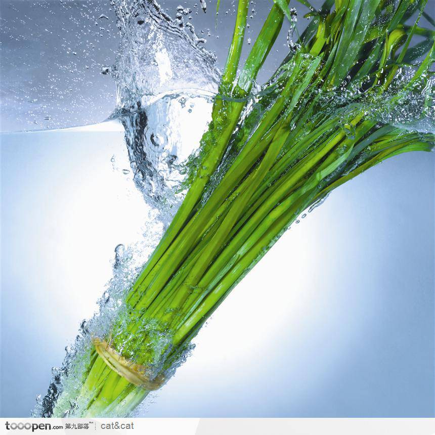 韭菜雞蛋餃子怎么做 韭菜真的能壯陽嗎