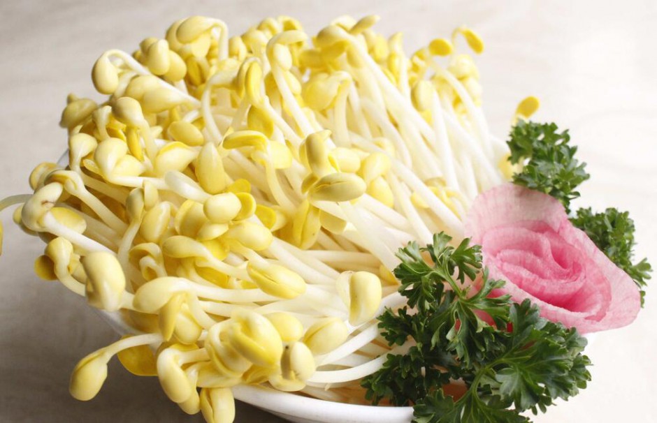 手把手教你豆芽菜的營(yíng)養(yǎng)做法