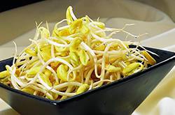 手把手教你豆芽菜的營養(yǎng)做法