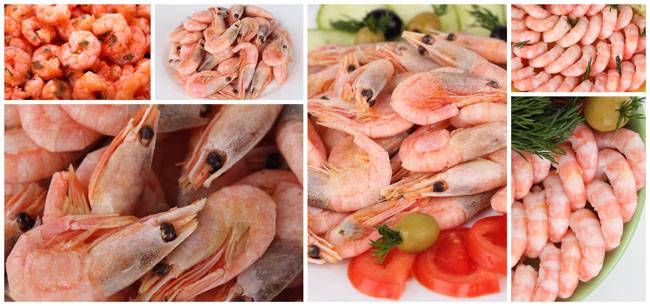 五款美味多汁的油爆蝦食譜 你最鐘愛(ài)哪一款