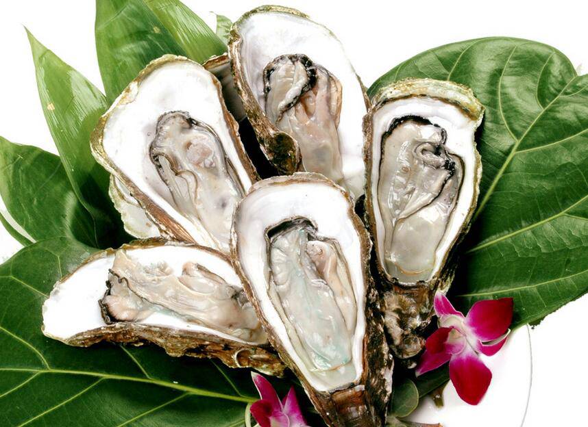 生蠔的功效與作用 三種營養(yǎng)做法圖片介紹