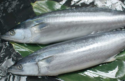 茄汁魚的做法大公開 揭茄汁魚的營養(yǎng)價值