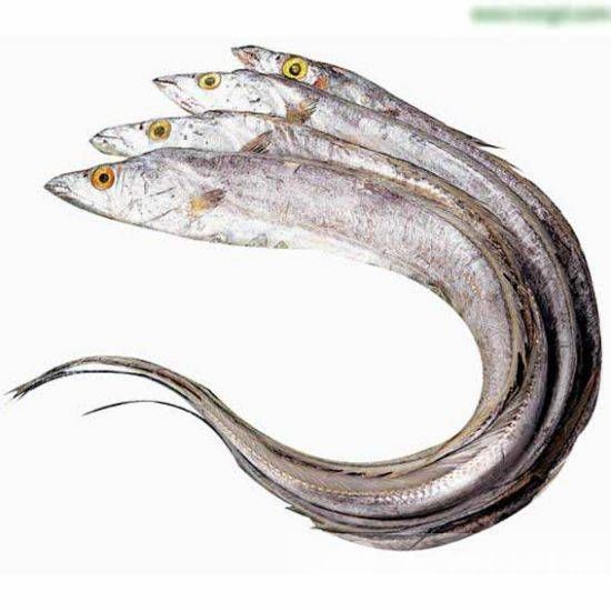 帶魚的家常做法大公開 煎魚的小竅門要掌握