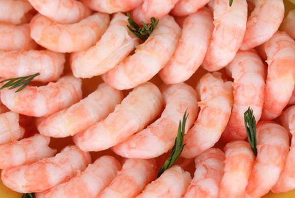 五款美味多汁的油爆蝦食譜 你最鐘愛(ài)哪一款