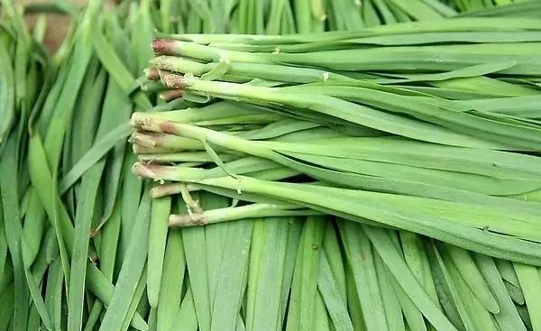 韭菜雞蛋餃子怎么做 韭菜真的能壯陽嗎