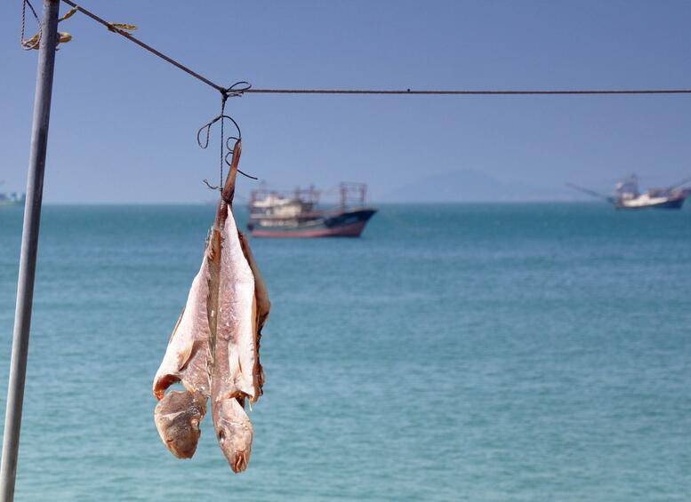 好吃到流淚的咸魚腌制方法大公開