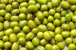 冰鎮(zhèn)綠豆沙的做法 綠豆有哪些功效與作用