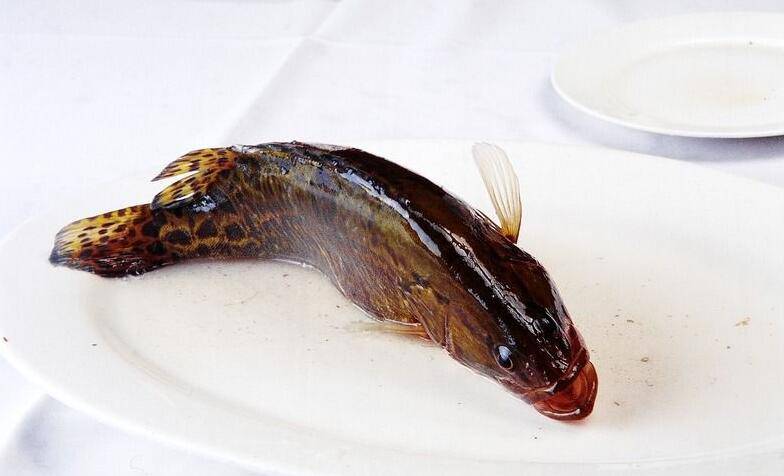 揭松鼠桂魚的來歷 手把手教你松鼠桂魚4種做法