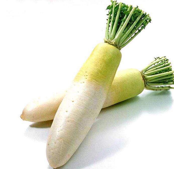 美味又滋補(bǔ)的蘿卜燉排骨做法大公開