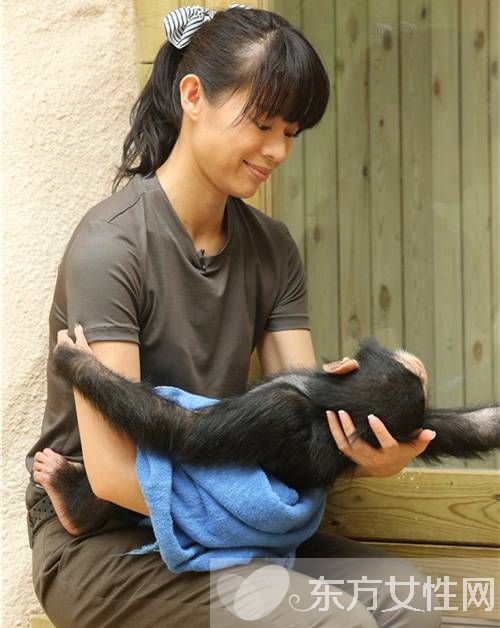 黃軒胡杏兒的婚紗照怎么回事 黃軒背景個人資料