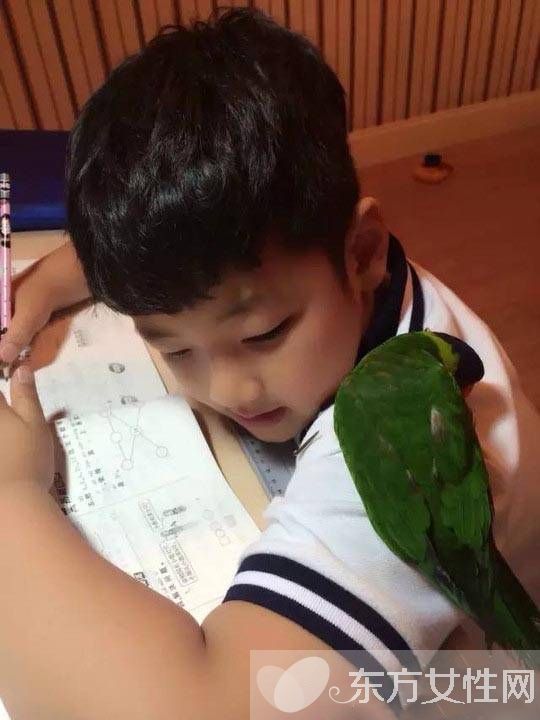 黃磊女兒多多學費13萬 星二代教育費用傷不起啊