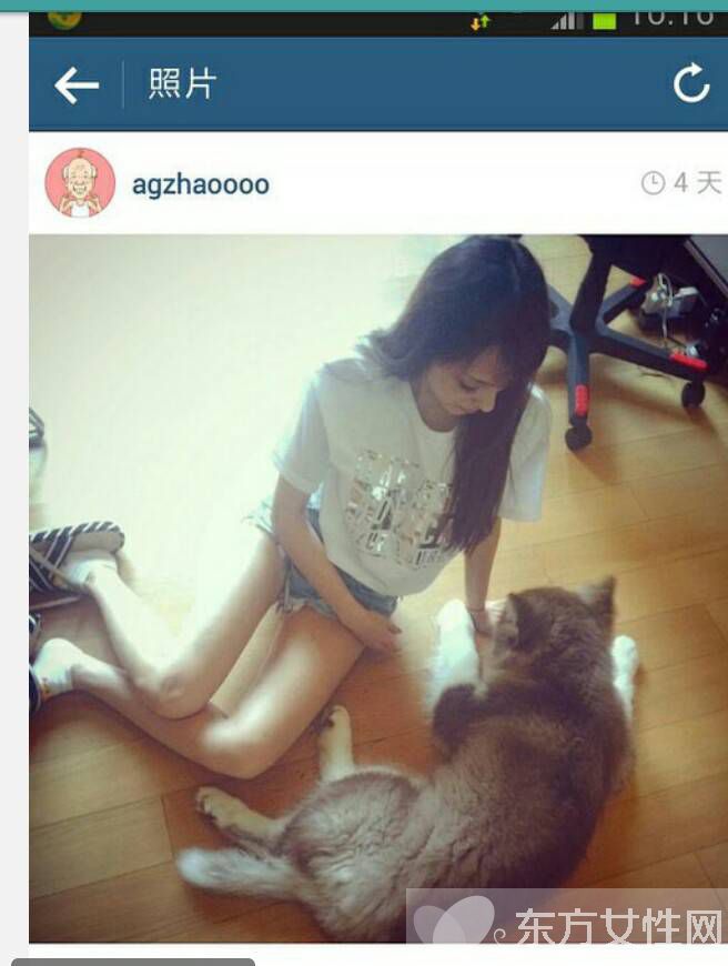 王思聰與趙子易現(xiàn)身機場被拍 鏟屎官為何能獨寵后宮