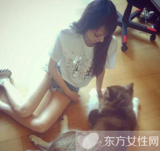 王思聰與趙子易現(xiàn)身機場被拍 鏟屎官為何能獨寵后宮