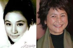 鄭佩佩個人資料 鄭佩佩炮轟張柏芝惹粉絲怒罵