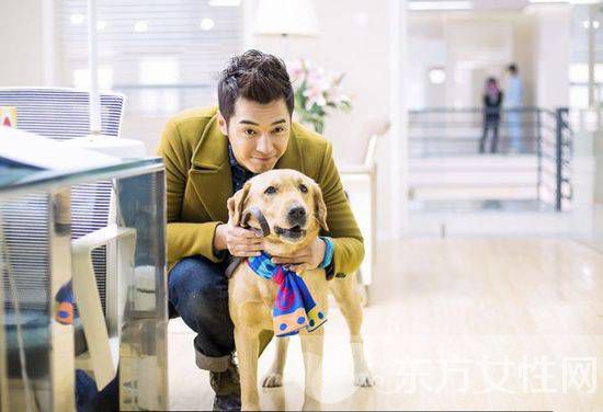 呆萌天才 金世佳個(gè)人資料 金世佳李沁戀情曝光網(wǎng)友祝福