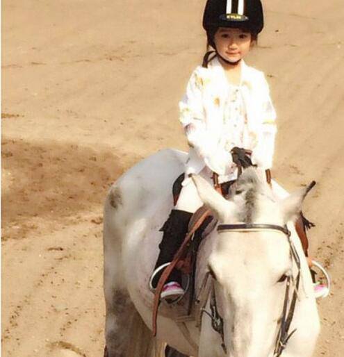 揭楊雪個人資料背景 老公女兒罕見照遭曝光