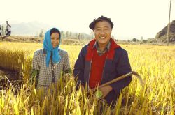 鄉(xiāng)村愛情8什么時(shí)候上映 趙本山暴怒不留情小姨子也NG