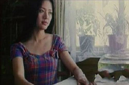 李亞鵬個人資料 李亞鵬王菲離婚原因公布