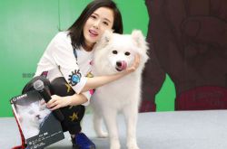 最美嫦娥 顏丹晨個人資料 顏丹晨陳昊最佳搭檔被曝已結婚