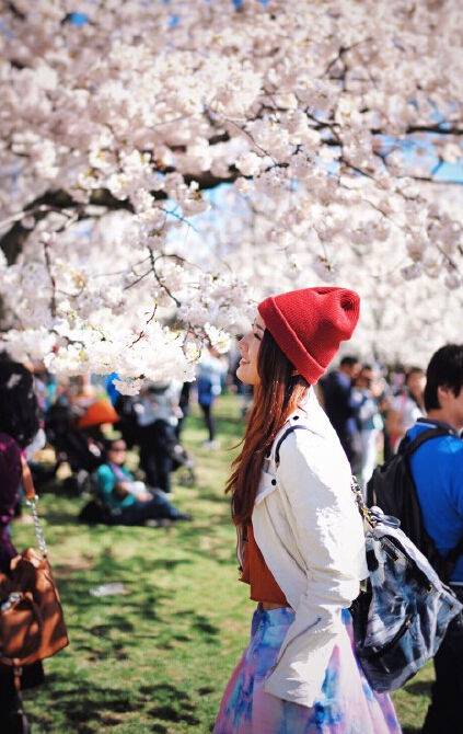 陳赫前妻許婧懷孕大肚照曝光 許婧驚人家庭背景大揭秘