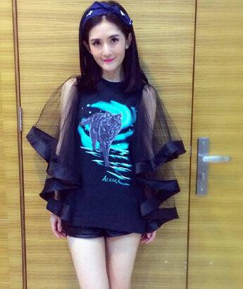 謝娜簡歷曝光 揭秘謝娜為什么下跪道歉