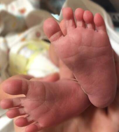 《爸爸去哪兒》陳浩民女兒加盟 嬌妻5年生4個(gè)