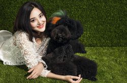 范冰冰裸替甘露個(gè)人資料大曝光