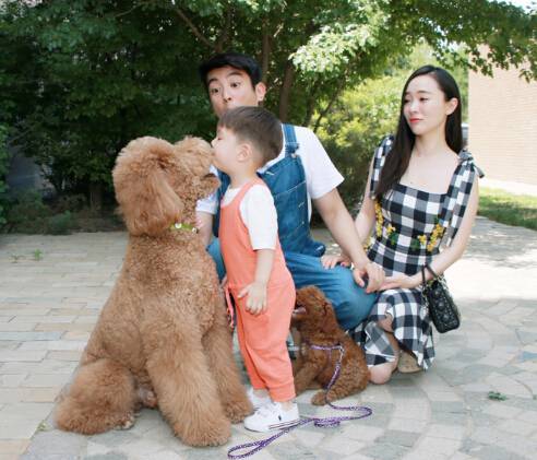 揭杜江霍思燕沒(méi)有那么幸福 兒子是最好的作品