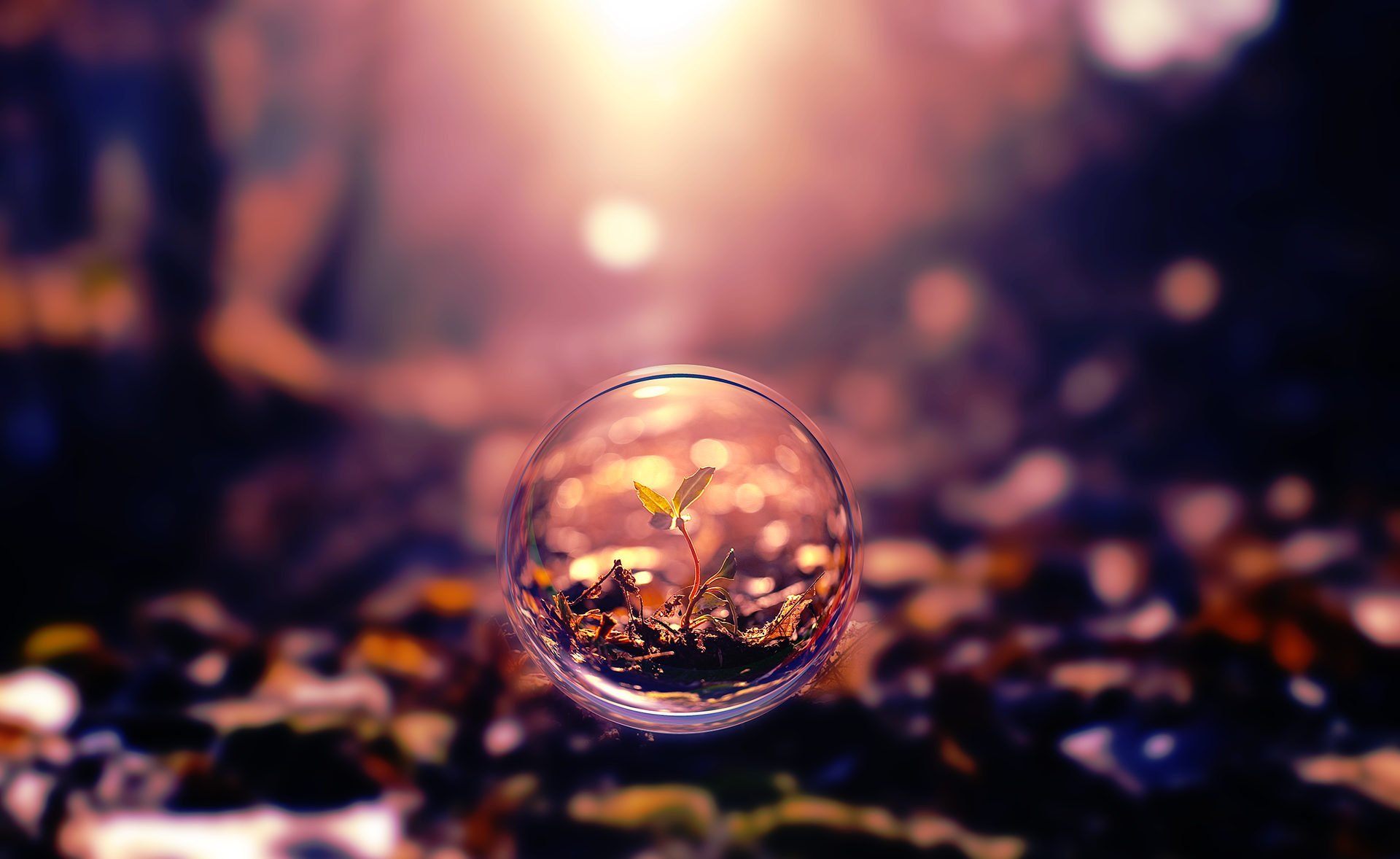 垃圾分類是什么 盤點(diǎn)關(guān)于垃圾分類的基本常識(shí)