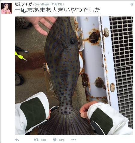 吃魚前曬照片 竟撿回了一條命