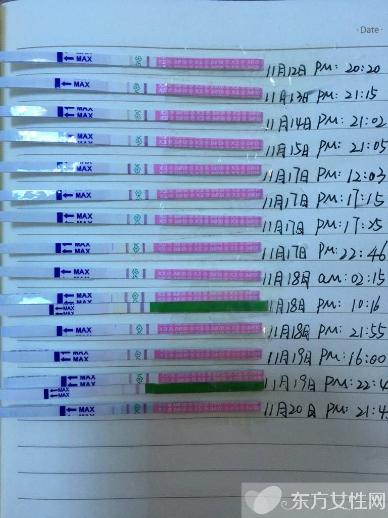 排卵試紙弱陽后多久排卵 排卵試紙一直弱陽是什么原因