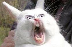 因與人發(fā)生口角被捅 腹部巨大腫瘤幫他擋3刀