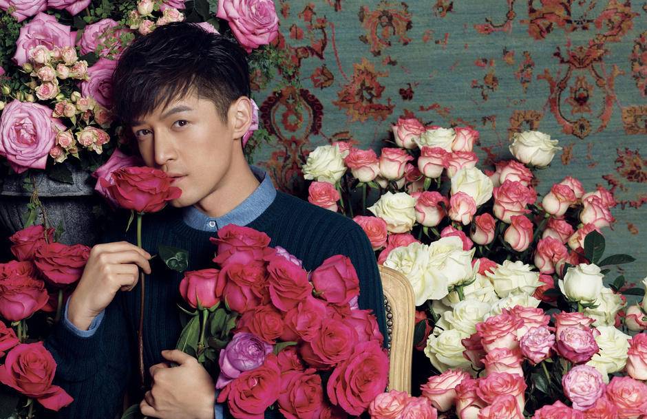 胡歌車禍原因疑點重重 過程曝光簡直觸目驚心