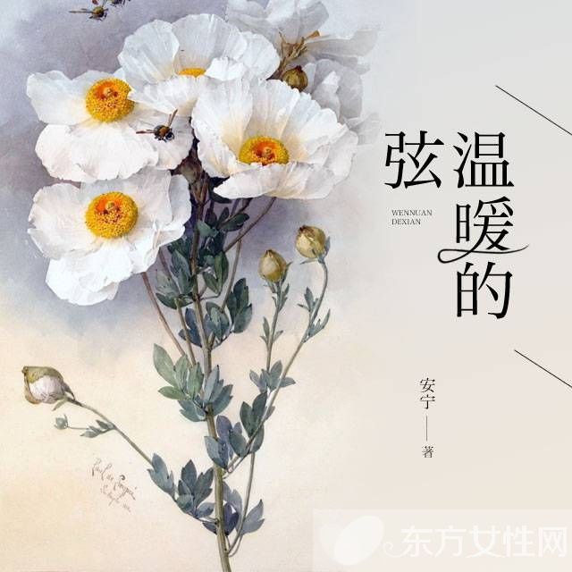 溫暖的弦電視劇劇情介紹 《溫暖的弦》演員表