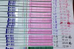 排卵試紙弱陽后多久排卵 排卵試紙一直弱陽是什么原因