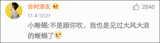 海灘群蛇追殺海蜥蜴 小蜥蜴還是成功脫身