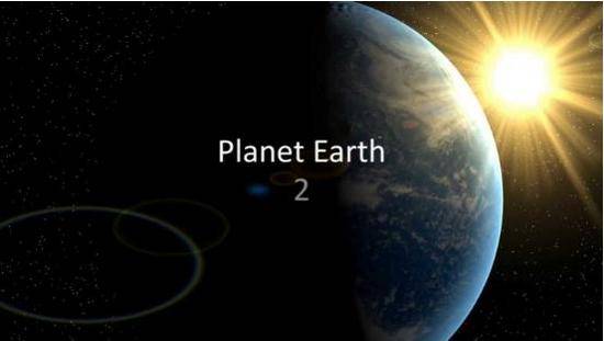 海灘群蛇追殺海蜥蜴 小蜥蜴還是成功脫身