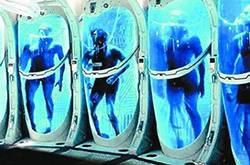 14歲患癌少女冰凍自己 將在200年后回來