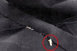 老鼠被縫進新衣 本以為是線頭一摸是老鼠腿